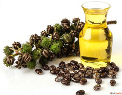 Leading Castor Oil Derivative Manufacturer in India