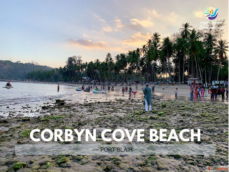 Best Candle Light Dinner Shoot at Havelock Island - Andaman Studio