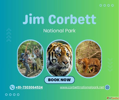 Corbett National Park Safari - Complete Guide for Safari Boo...