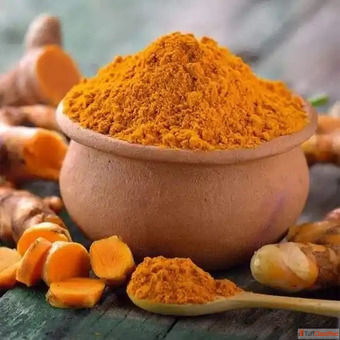 Best Turmeric Powder Suppliers in Gujarat