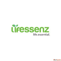 Ginger Garlic Lemon ACV Honey Drink for Heart Health