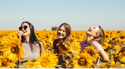 Post-Menopause Thriving in Your Next Chapter