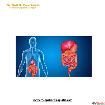 Best Gastroenterologist in Ahmedabad - Advanced Digestive Care by Dr. Neil Palkhiwala