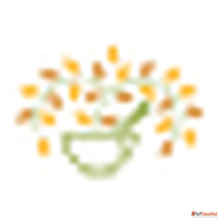 Best Ayurveda Health Retreat in Kerala - The Ayurvedic Heali...