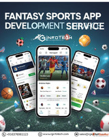 Custom Fantasy Sports App Development Services for Startups