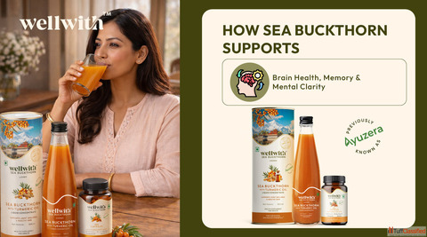 Sea Buckthorn Benefits For Brain Health Memory Mental Clarity