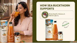 Sea Buckthorn Benefits For Brain Health Memory Mental Clarit...