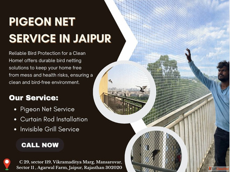 Pigeon Net Service in Jaipur with Expert Installation