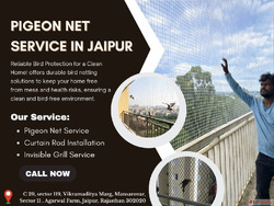 Pigeon Net Service in Jaipur with Expert Installation