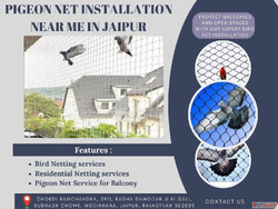 Affordable Pigeon Net Installation Near Me in Jaipur