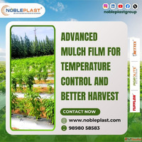 NETTEX UV Resistant Crop Cover Mulch Film Supplier