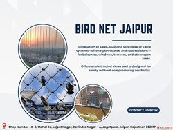 Bird Net Jaipur Experts for Pigeon Control Solution