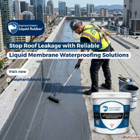 Stop Roof Leakage with Reliable Liquid Membrane Waterproofin...