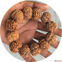 Rudraksha Mala in Haridwar Authentic Beads for Spiritual Wel...