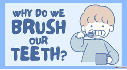 Why Do We Brush Our Teeth