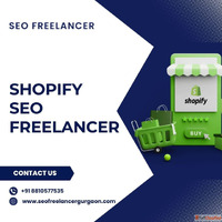 Expert Shopify SEO Freelancer to Increase Online Store Traff...