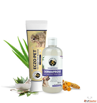 Fur Ball Story Dog Skin Care Routine