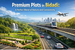 Plots in Bidadi