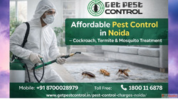 Pest Control Noida Charges Starting 799 Affordable Same Day ...