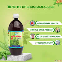 Bhumi Amla for Liver Health Natural Ayurvedic Detox Remedy