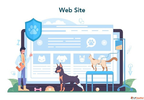 Professional Fast Digital Marketing for Veterinary Clinics