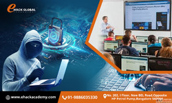 Professional Cyber Security Certification - eHack Academy