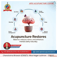 Premier Scalp Acupuncture Center Lucknow