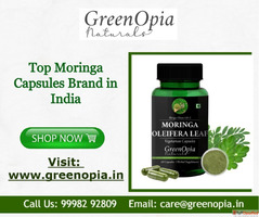 Top Moringa Capsules Brand in India for Immunity and Strengt...