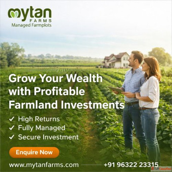 High-Return Managed Farmland for Investment Opportunities