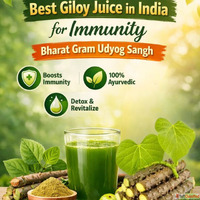 Best Giloy Juice in India for Immunity Bharat Gram Udyog San...