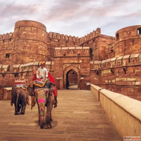 India Golden Triangle Tour Package