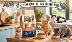 Meo Cat Food Nutrition Guide for Cats Furever Kare