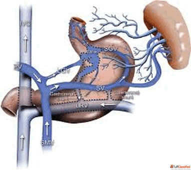 Thyroid Nodule Treatment Without Surgery in India Advanced Care