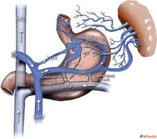 Thyroid Nodule Treatment Without Surgery in India Advanced C...