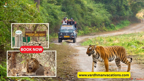 10 Must-Visit Wildlife Sanctuaries in India