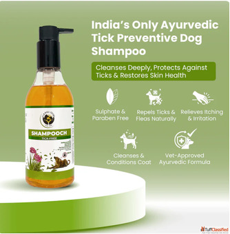 Say Goodbye to Ticks Naturally Give Your Dog the Care They Deserve