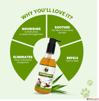 Say Goodbye to Ticks Naturally Give Your Dog the Care They Deserve