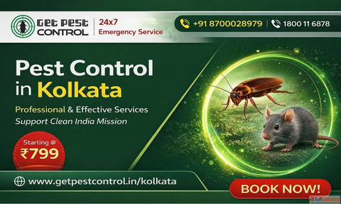 Expert Pest Control Treatment in Kolkata for a Pest-Free Home