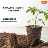 Balanced Growing Medium for Plants for Optimal Plant Care