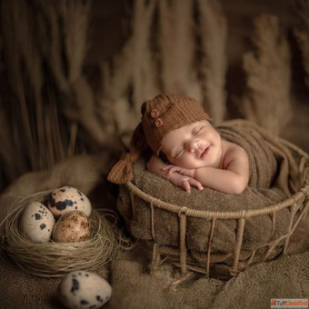 Explore Newborn Photoshoot Options in Greater Noida