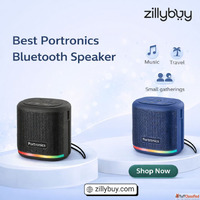 Best Portronics Bluetooth Speaker for Daily Use