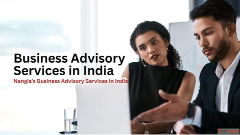 Business Advisory Services India - Expert Financial Strategic Guidance