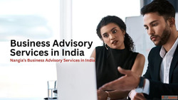 Business Advisory Services India - Expert Financial Strategi...