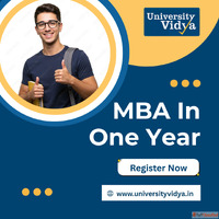 MBA in One Year Accelerated Online MBA for Professionals