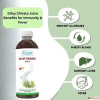 Giloy Chirata Juice Benefits for Immunity Fever Ayurvedic De...