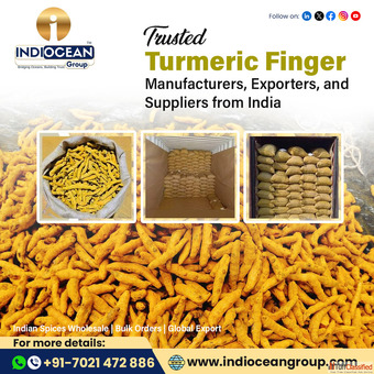 Best turmeric powder exporter in Navi Mumbai