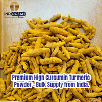 Best turmeric wholesale supplier in Navi Mumbai