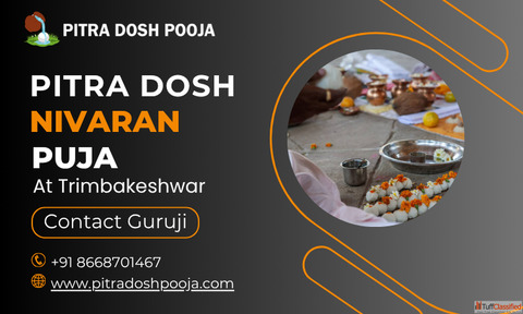 Pitra Dosh Nivaran Puja in Trimbakeshwar Temple