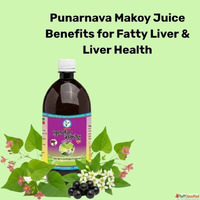 Punarnava Makoy Juice Benefits for Fatty Liver Liver Health