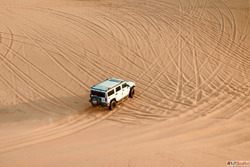 Best Desert Tour Company City Tour Operator in Abu Dhabi